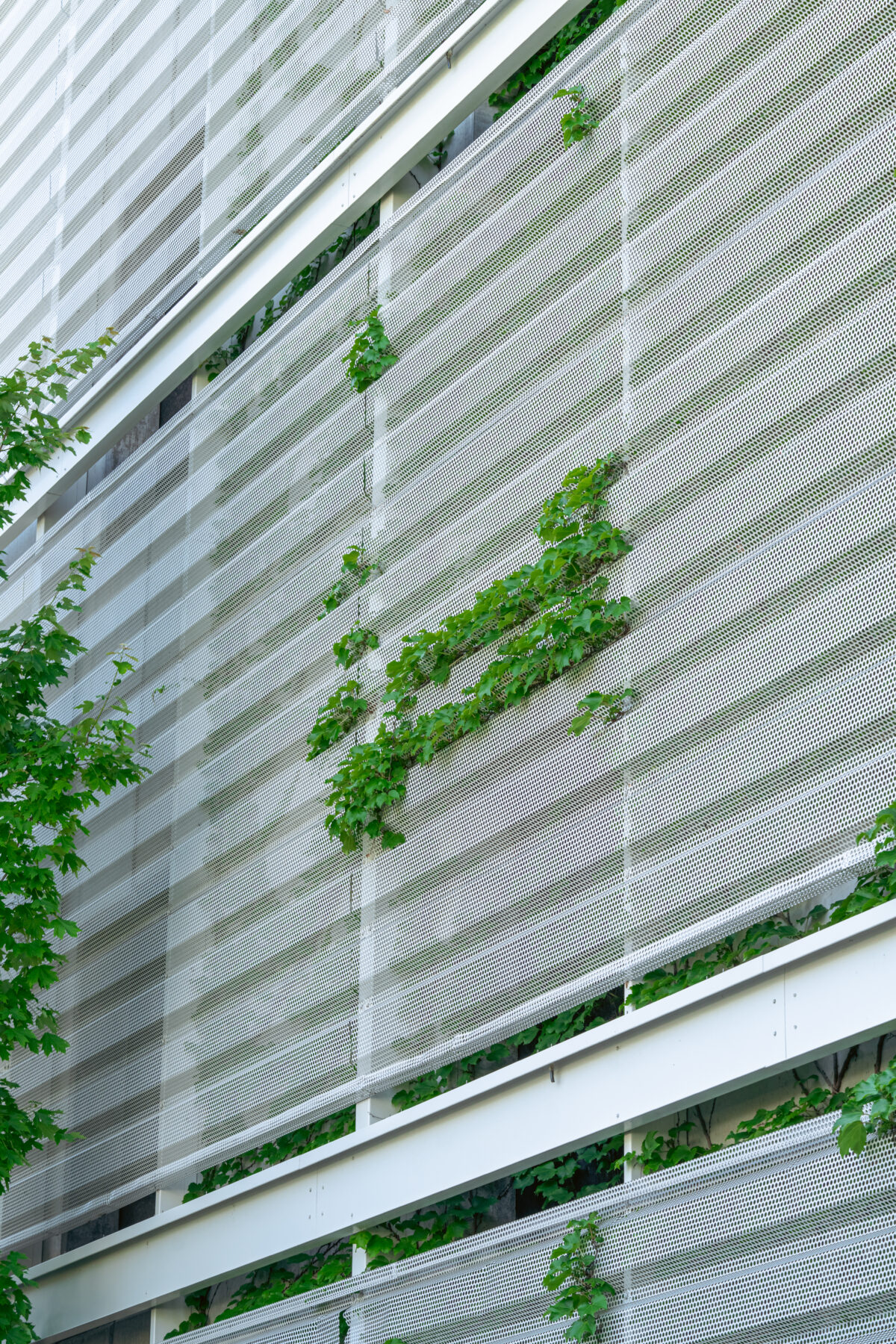 Foliage on perforated metal siding at Chicago Fashion Outlets